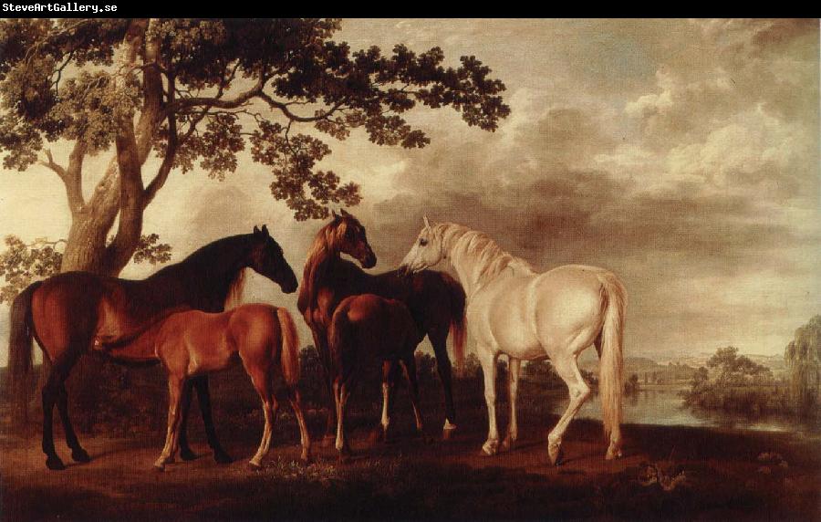 George Stubbs ston och fol i flodlandskap